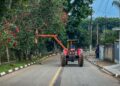 🌳 Prefeitura de Tuiuti realiza serviços de poda na Rua Sebastião Martins Pedro