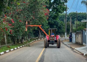 🌳 Prefeitura de Tuiuti realiza serviços de poda na Rua Sebastião Martins Pedro