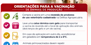 Prefeitura de Tuiuti orienta produtores sobre vacinação antirrábica do rebanho