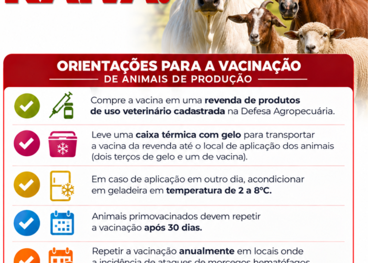 Prefeitura de Tuiuti orienta produtores sobre vacinação antirrábica do rebanho